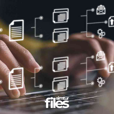 simtur files simtur files